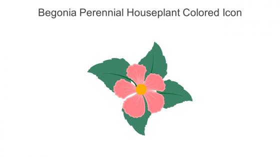 Begonia Perennial Houseplant Colored Icon In Powerpoint Pptx Png And Editable Eps Format
