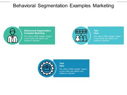 Behavioral segmentation examples marketing ppt powerpoint presentation infographic template cpb