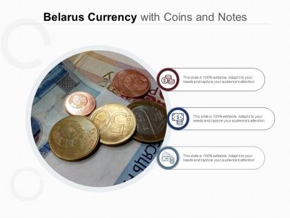 Belarus currency with coins and notes