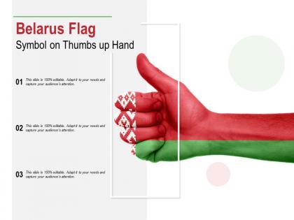Belarus flag symbol on thumbs up hand