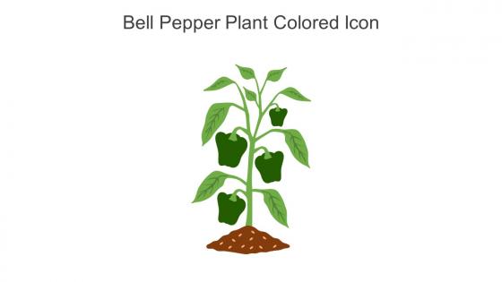 Bell Pepper Plant Colored Icon In Powerpoint Pptx Png And Editable Eps Format