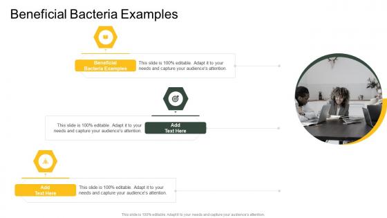 Beneficial Bacteria Examples In Powerpoint And Google Slides Cpb