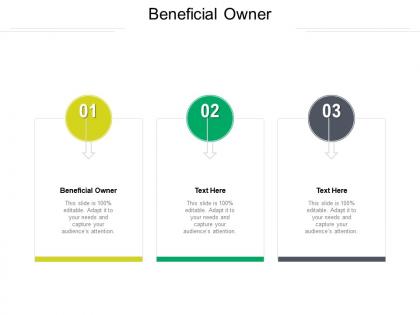 Beneficial owner ppt powerpoint presentation gallery portfolio cpb