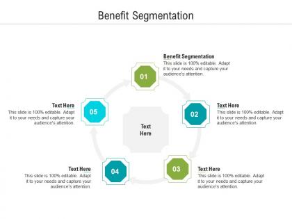 Benefit segmentation ppt powerpoint presentation model portfolio cpb