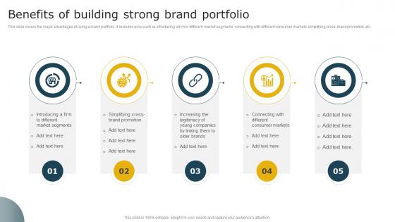 Benefits Of Building Strong Brand Portfolio Aligning Brand Portfolio Strategy With Business