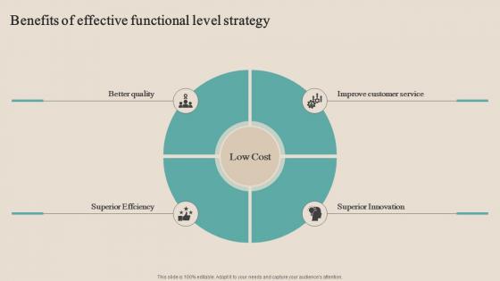Benefits Of Effective Functional Level Strategy Optimizing Functional Level Strategy SS V