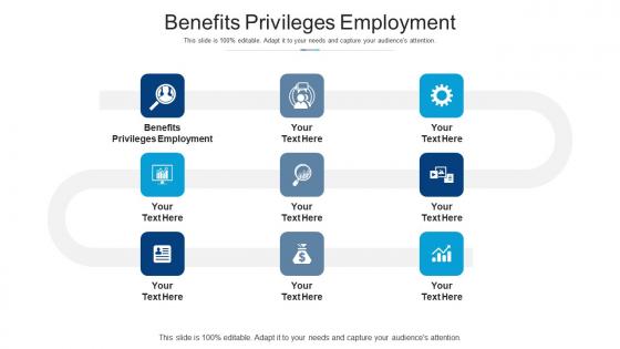 Benefits privileges employment ppt powerpoint presentation visual aids backgrounds cpb