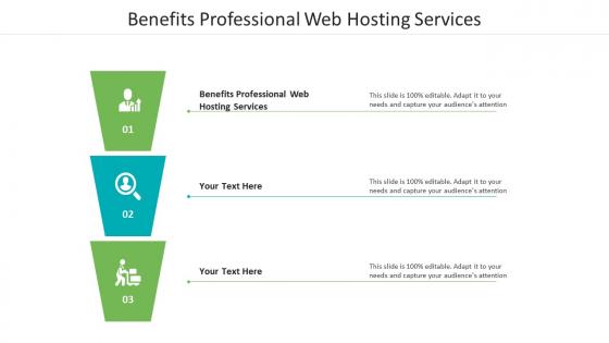 Benefits professional web hosting services ppt powerpoint presentation infographics rules cpb