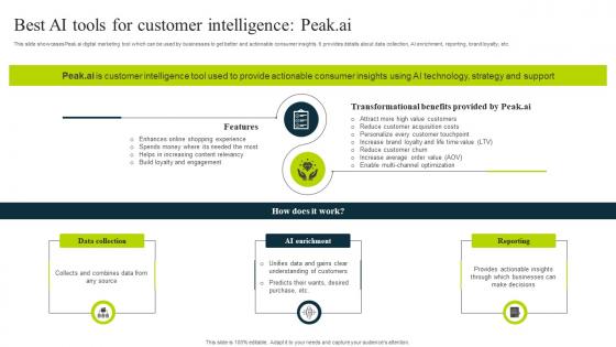 Best Ai Tools For Customer Intelligence Peak Ai How To Use Chatgpt AI SS V