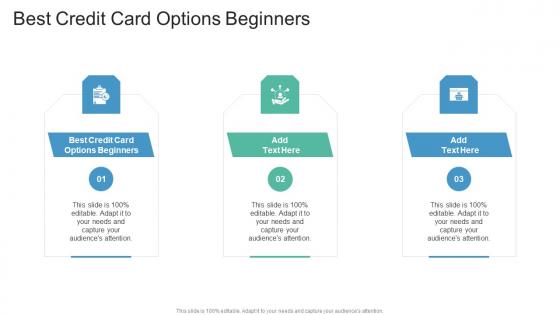 Best Credit Card Options Beginners In Powerpoint And Google Slides Cpb