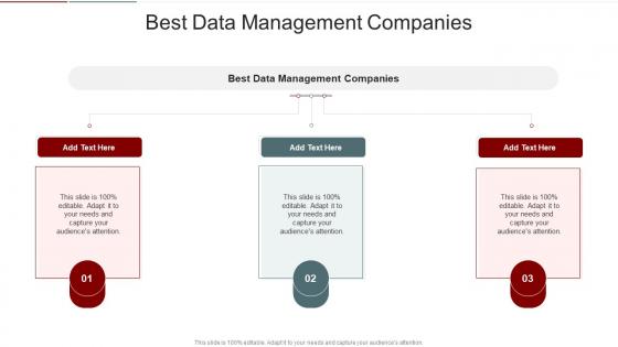 Best Data Management Companies In Powerpoint And Google Slides Cpb