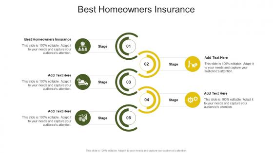 Best Homeowners Insurance In Powerpoint And Google Slides Cpb