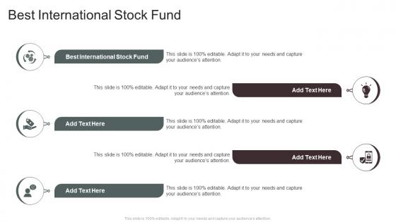 Best International Stock Fund In Powerpoint And Google Slides Cpb