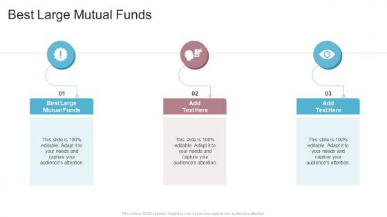 Best Large Mutual Funds In Powerpoint And Google Slides Cpb