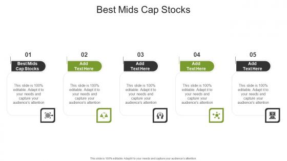 Best Mids Cap Stocks In Powerpoint And Google Slides Cpb