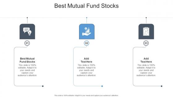 Best Mutual Fund Stocks In Powerpoint And Google Slides Cpb