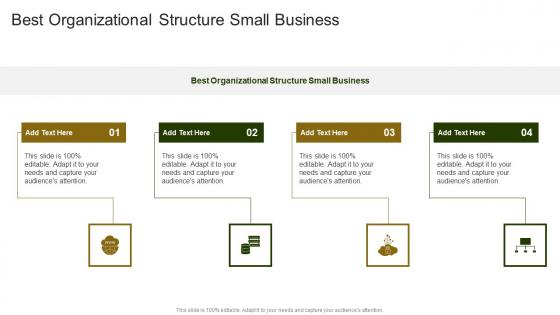 Best Organizational Structure Small Business In Powerpoint And Google Slides Cpb