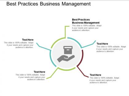Best practices business management ppt powerpoint presentation file vector cpb