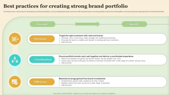 Best Practices For Creating Strong Brand Portfolio Making Brand Portfolio Work