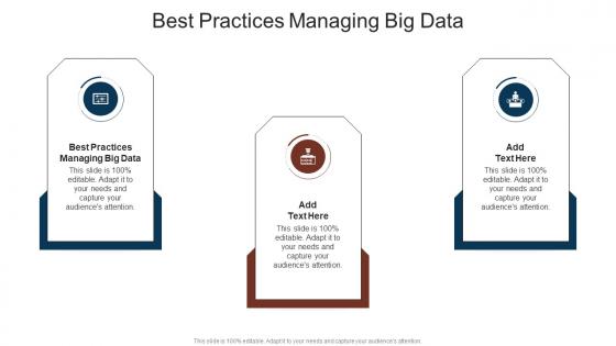 Best Practices Managing Big Data In Powerpoint And Google Slides Cpb