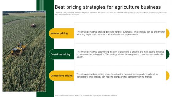 Best Pricing Strategies For Agriculture Business Farm And Agriculture Business Plan BP SS