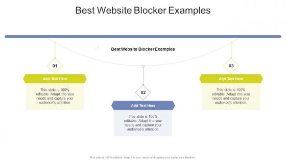 Best Website Blocker Examples In Powerpoint And Google Slides Cpb