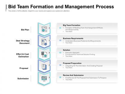 Bid team formation and management process