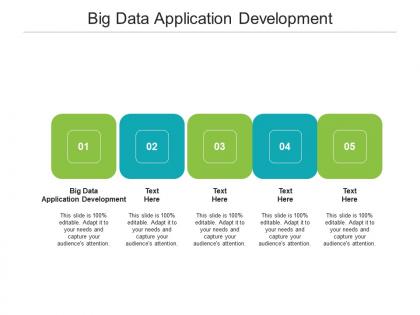 Big data application development ppt powerpoint presentation outline slide portrait cpb