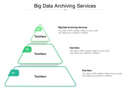 Big data archiving services ppt powerpoint presentation professional skills cpb