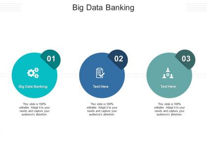 Big data banking ppt powerpoint presentation model display cpb