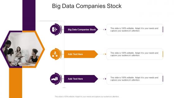 Big Data Companies Stockin Powerpoint And Google Slides Cpb