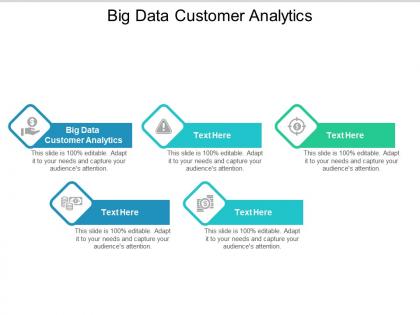 Big data customer analytics ppt powerpoint presentation icon influencers cpb
