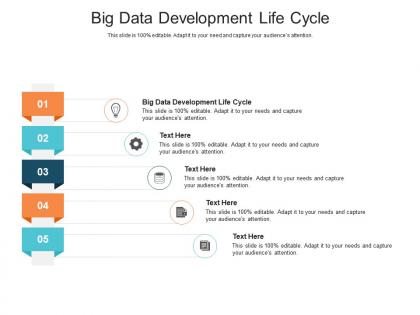 Big data development life cycle ppt powerpoint presentation infographics grid cpb