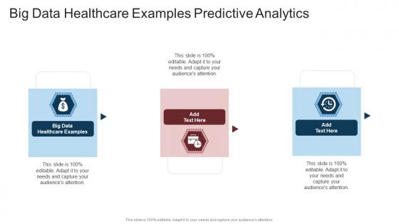 Big Data Healthcare Examples Predictive Analytics In Powerpoint And Google Slides Cpb