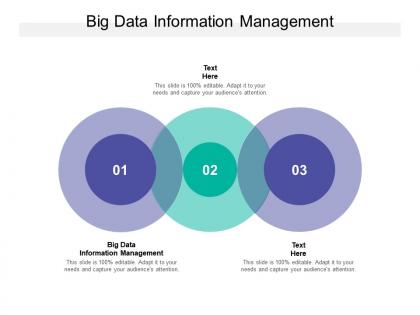 Big data information management ppt powerpoint presentation example cpb