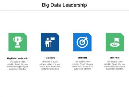 Big data leadership ppt powerpoint presentation portfolio graphics example cpb
