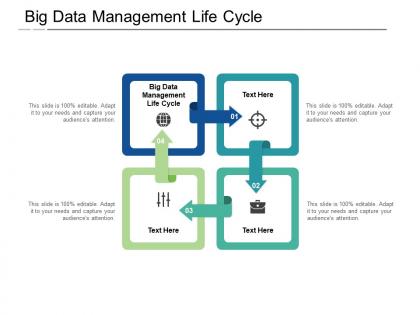 Big data management life cycle ppt powerpoint presentation model slideshow cpb