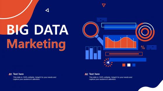 Big Data Marketing Ppt Powerpoint Presentation Infographics Vector