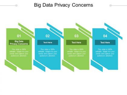 Big data privacy concerns ppt powerpoint presentation portfolio deck cpb