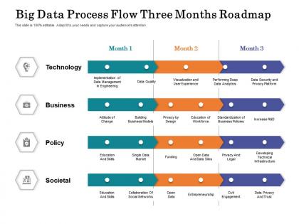 Big data process flow three months roadmap