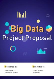 Big Data Project Proposal Report Sample Example Document