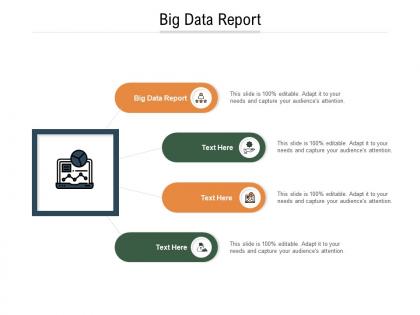 Big data report ppt powerpoint presentation portfolio structure cpb