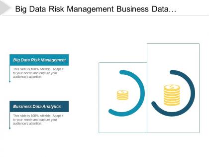 Big data risk management business data analytics pricing management cpb