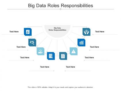 Big data roles responsibilities ppt powerpoint presentation summary background cpb