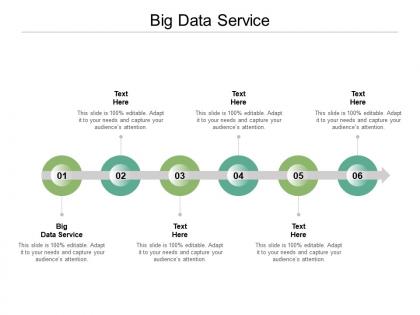 Big data service ppt powerpoint presentation template cpb