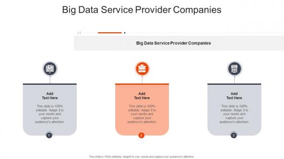 Big Data Service Provider Companies In Powerpoint And Google Slides Cpb