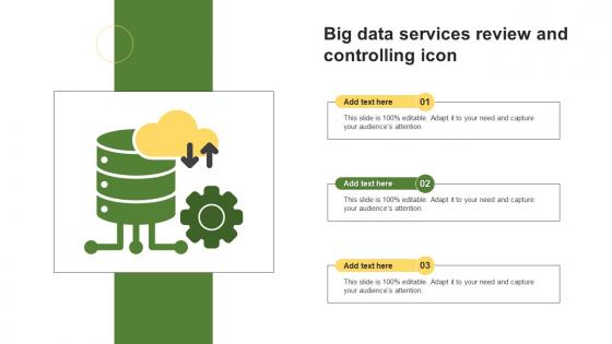 Big Data Services Review And Controlling Icon