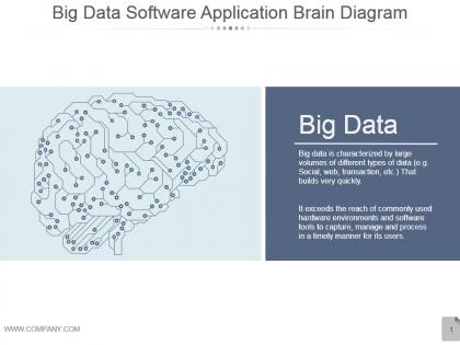 Big data software application brain diagram presentation diagrams