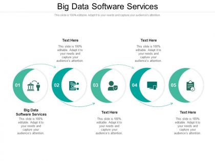 Big data software services ppt powerpoint presentation infographics gridlines cpb