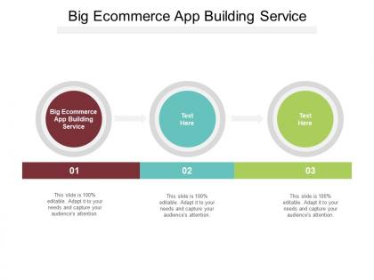 Big ecommerce app building service ppt powerpoint presentation summary background image cpb